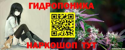 крисы Чебоксары